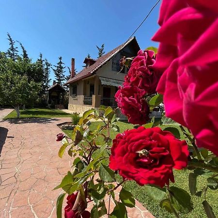 Villa Katerina Nea Kallikrateia Buitenkant foto