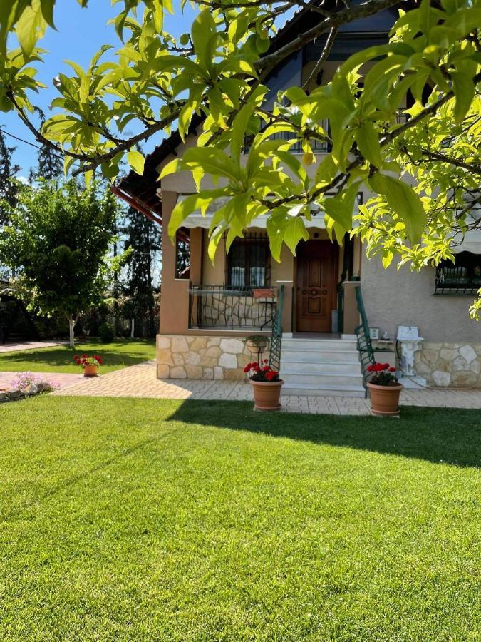 Villa Katerina Nea Kallikrateia Buitenkant foto