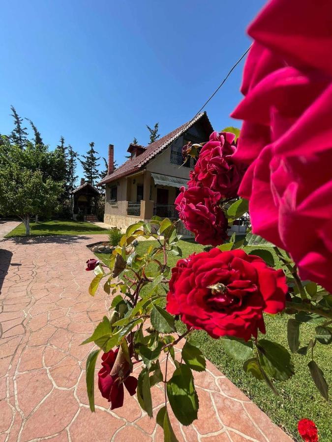 Villa Katerina Nea Kallikrateia Buitenkant foto